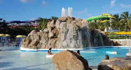 Lovely tiny house with AC in West Palm Beach