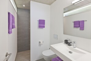 Hair dryer, towels, soap, toilet paper