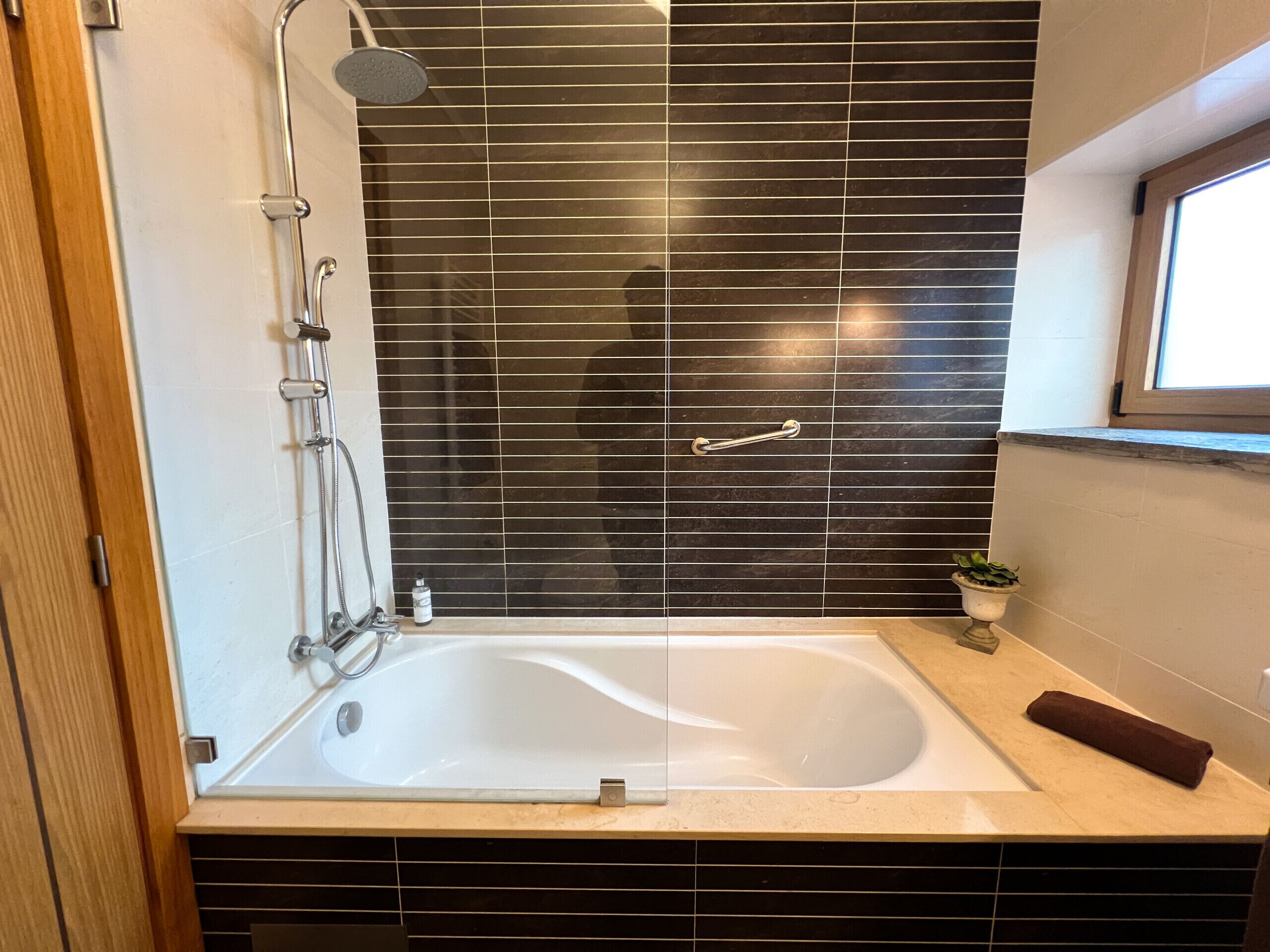 Un baño moderno con ducha de vidrio, una bañera blanca y una pequeña planta en maceta sobre el mostrador.