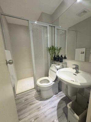 Shower, bidet, towels, soap