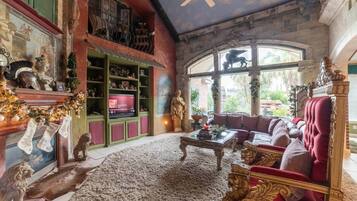 TV, fireplace, books, video library