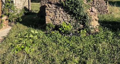 Somerset/Devon farmhouse on the edge of Exmoor, 5 bedrooms, pool, large garden,