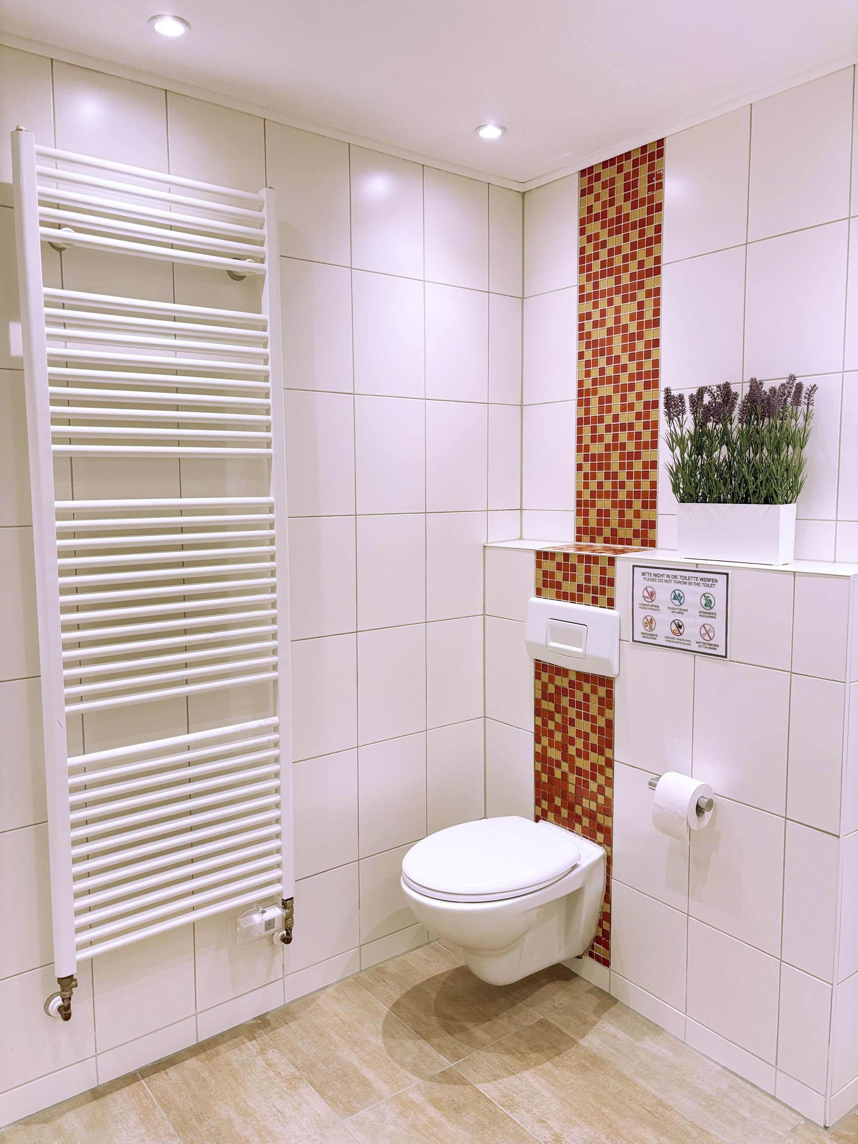 Doccia, asciugacapelli, asciugamani, sapone