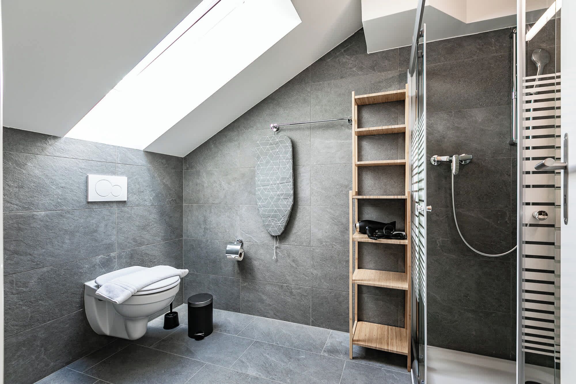 Dusche, Haartrockner, Handtücher