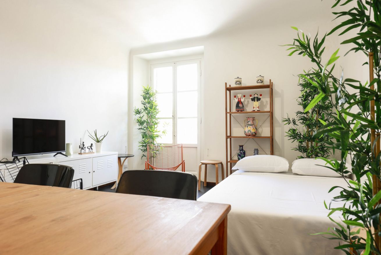 A room with a bed, a TV, a desk, and a bookshelf.