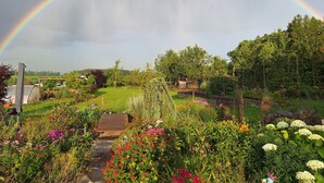 Un jardin avec un pont en bois, différentes plantes et un arc-en-ciel.