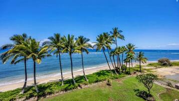 Sun loungers, beach towels