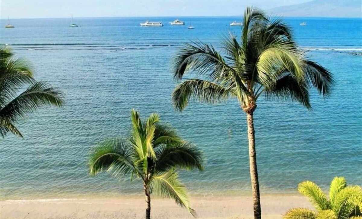 オーナーのプロフィール画像