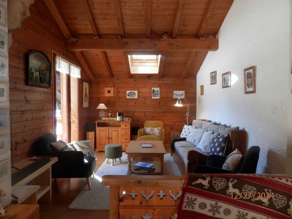 TV, fireplace, DVD player, books