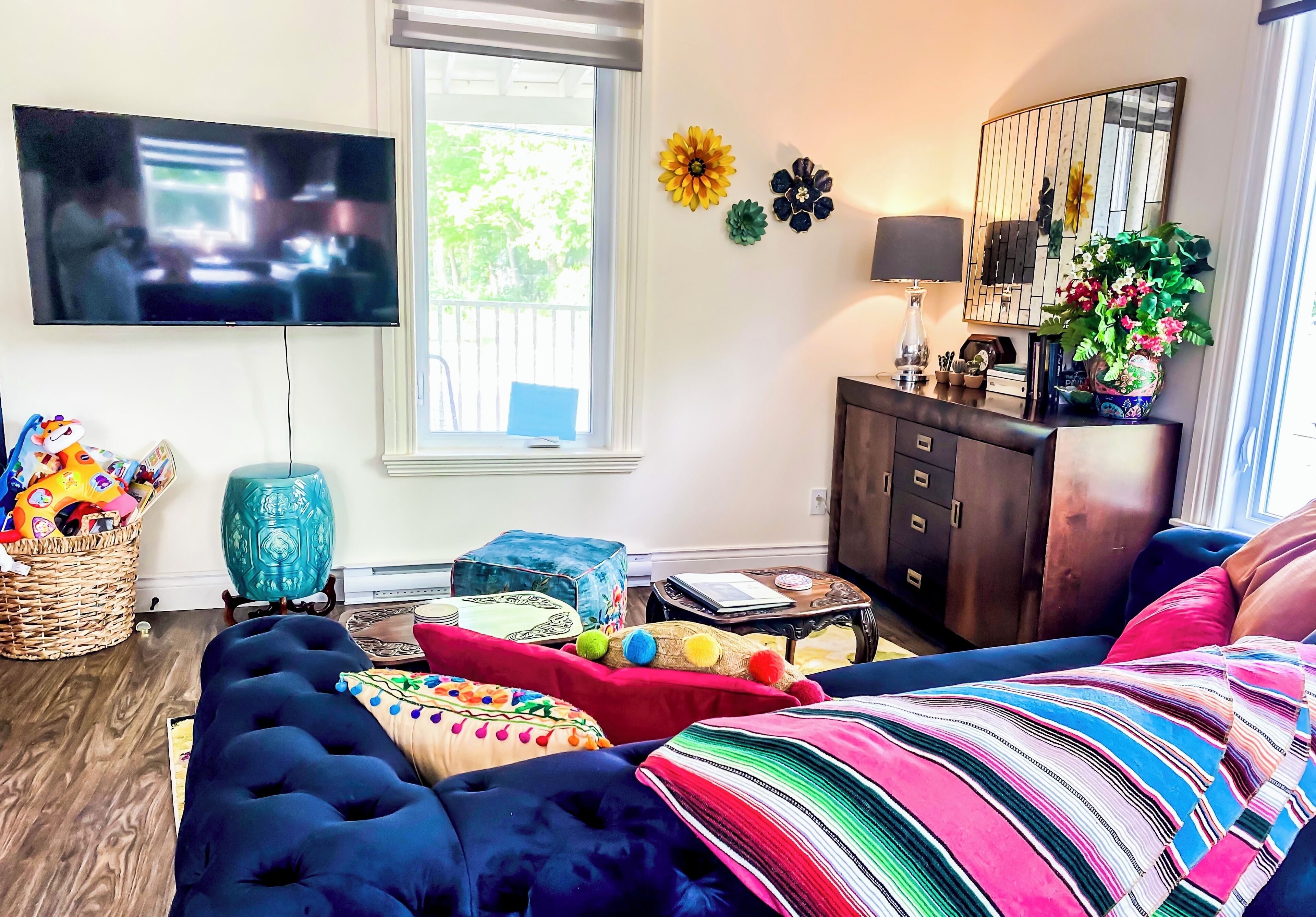 Älytelevisio, kirjoja