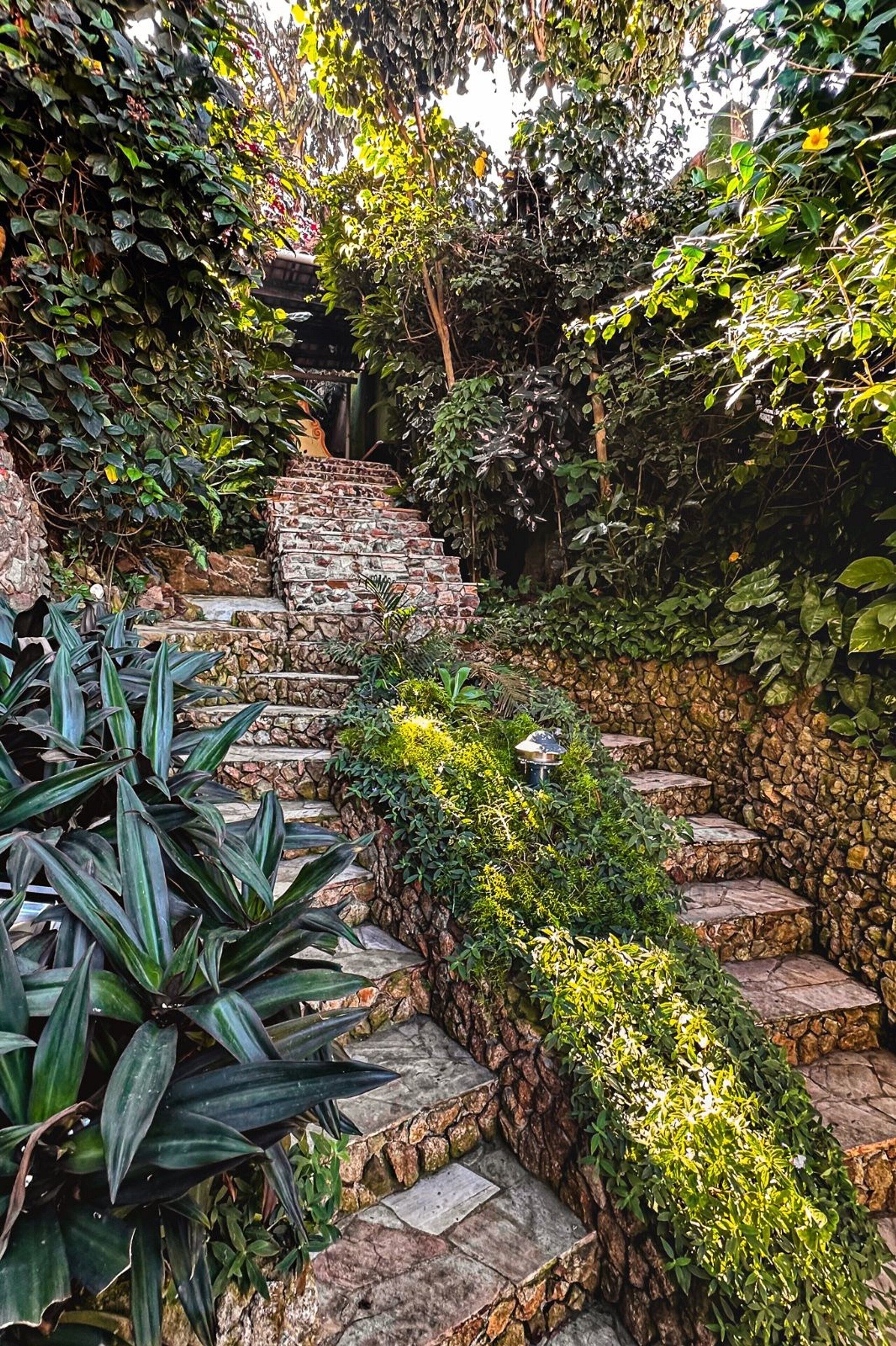 Jardines del alojamiento