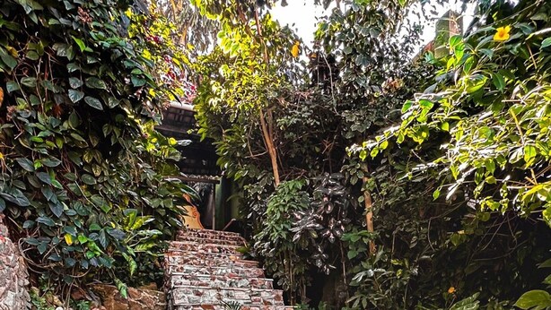 A stone staircase surrounded by lush greenery and plants. - Villa Rustica (Arraial do Cabo)