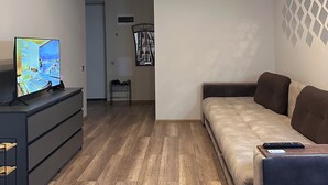 Una sala de estar moderna con un sofá, un televisor sobre un mueble bajo, piso de madera y una lámpara en el techo.