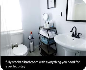 Hair dryer, towels, soap, toilet paper