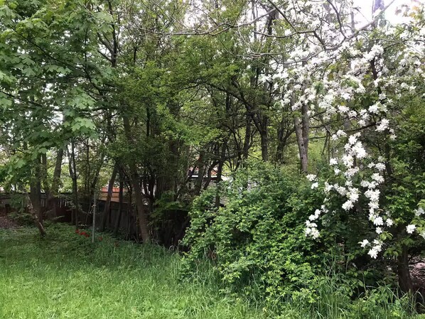 Overnatningsstedets område