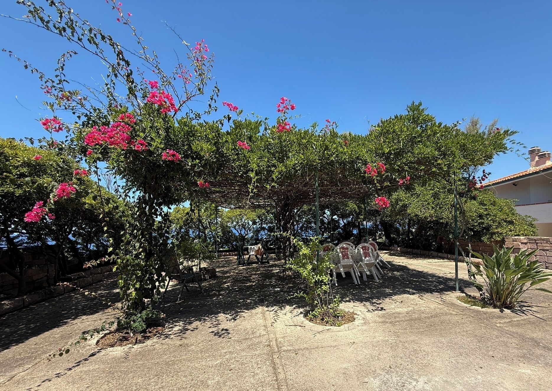 Terrasse/patio