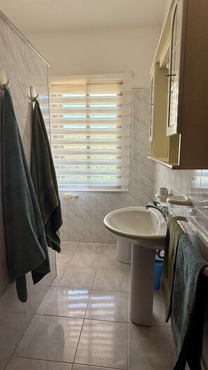 Shower, hair dryer, bidet, towels