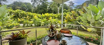 Deluxe Room in Punta Uva with AC  • Selvatica