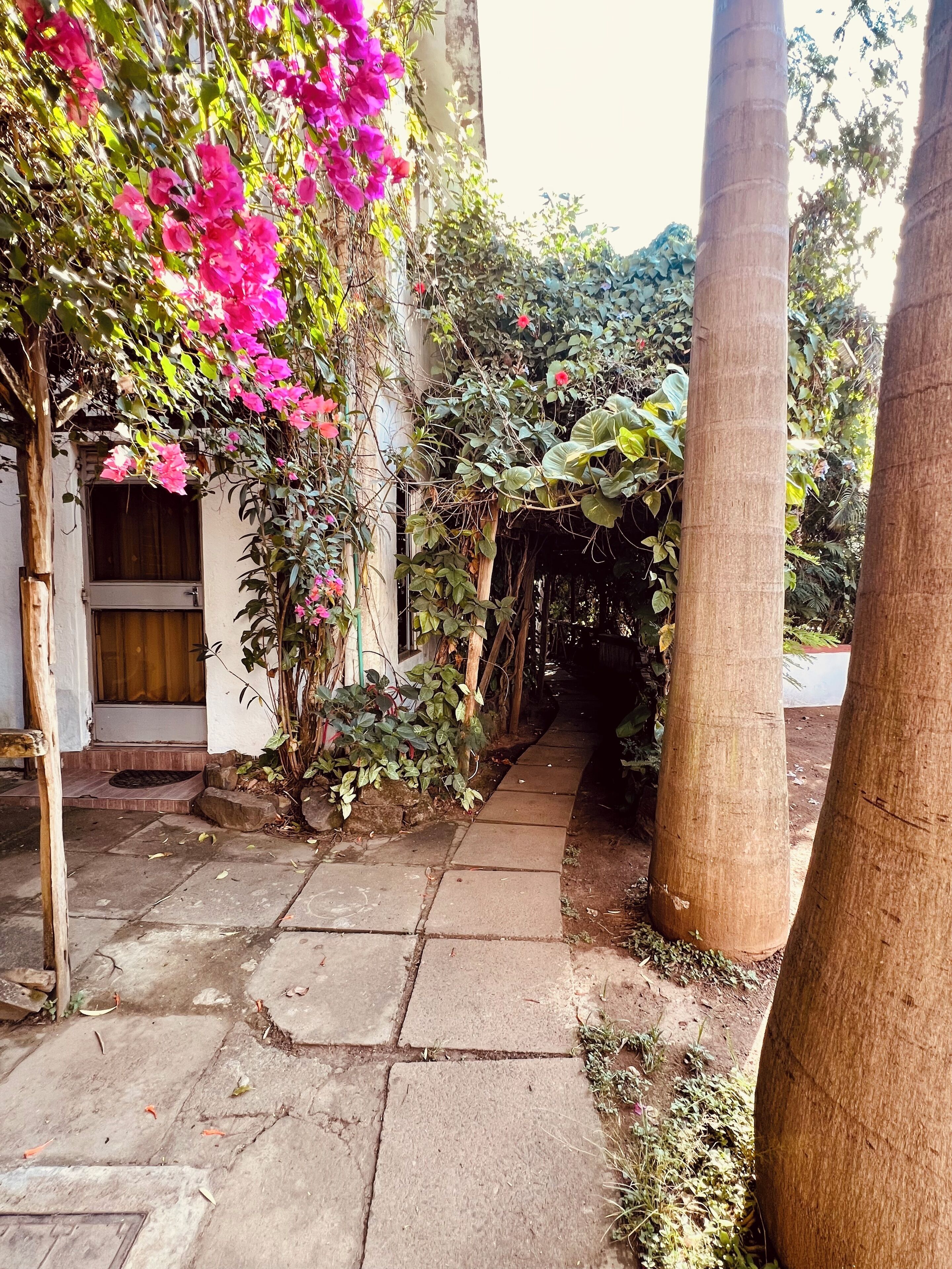 Jardines del alojamiento