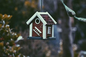 Ein Vogelhaus hängt an einem Ast.