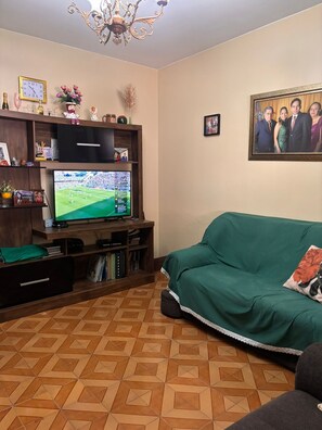 Fernseher