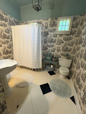 Secadora de cabello, toallas, jabón, papel de baño 