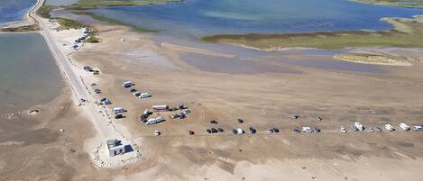 サンラウンジャー