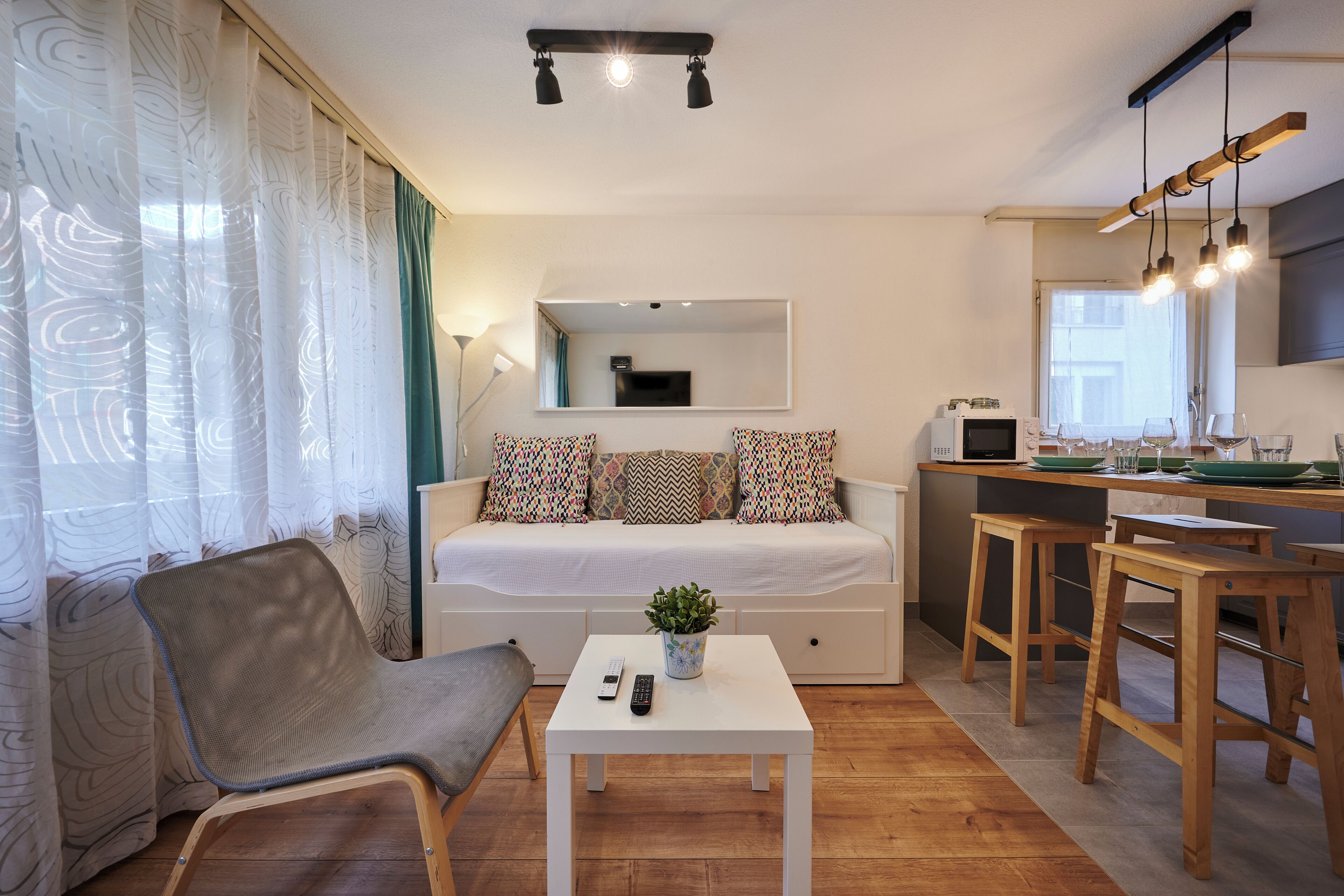 A compact living space with a sofa, a small table with a plant, a chair, a kitchenette, and a dining area.