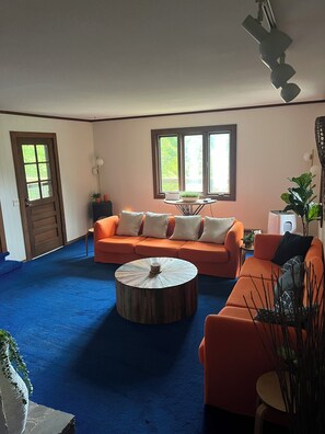 Smart-tv, dvd-afspiller, bøger, videobibliotek