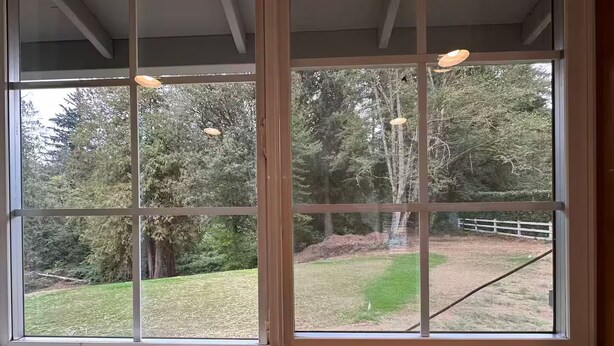 Una habitación con un amplio ventanal que ofrece vistas a un área verde y árboles.
