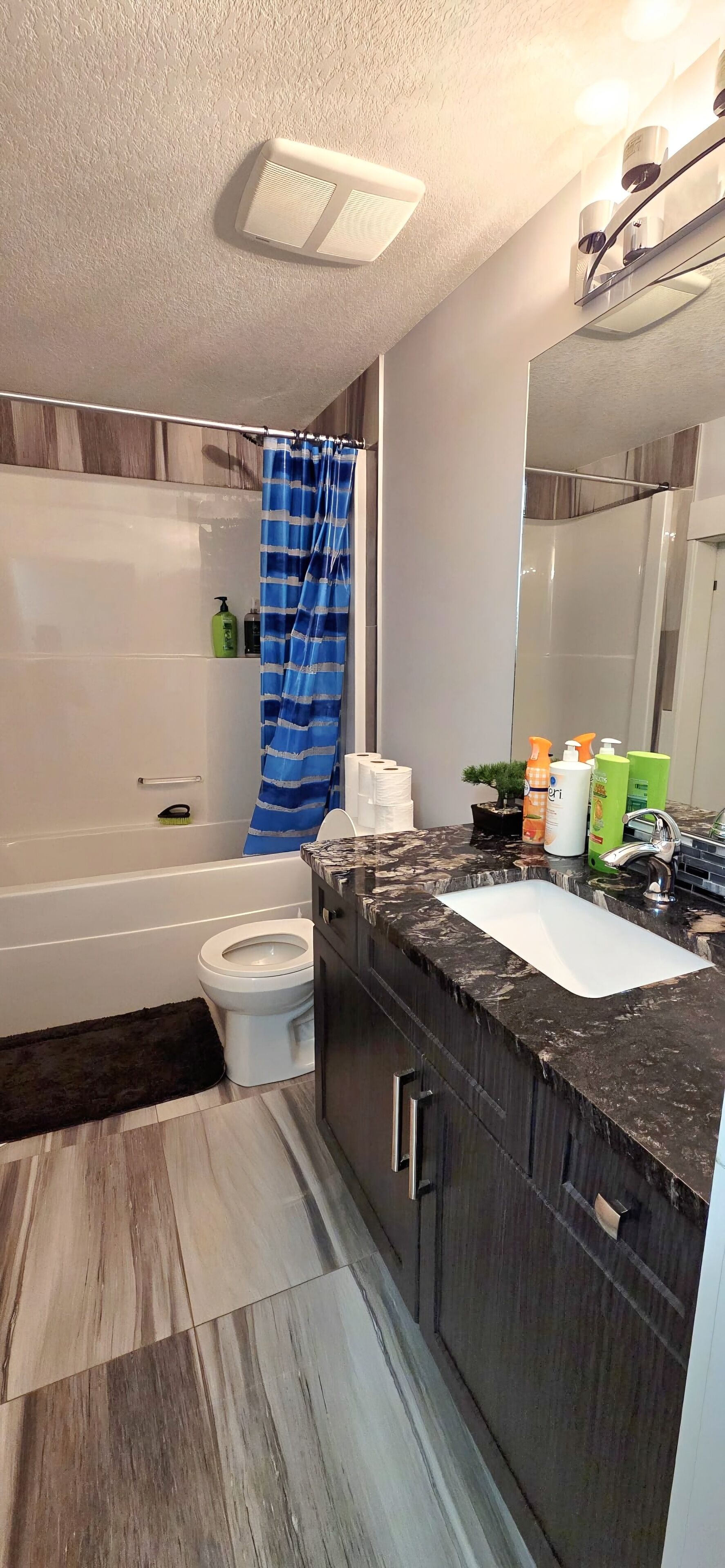 Hair dryer, towels, soap, shampoo