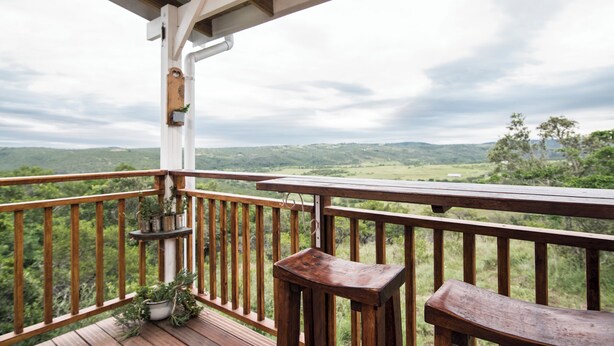 A wooden deck with a railing, a bench, and potted plants.