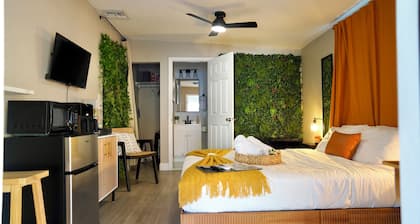 Clean Luxury Boho in Orlando 25 min from Theme Parks