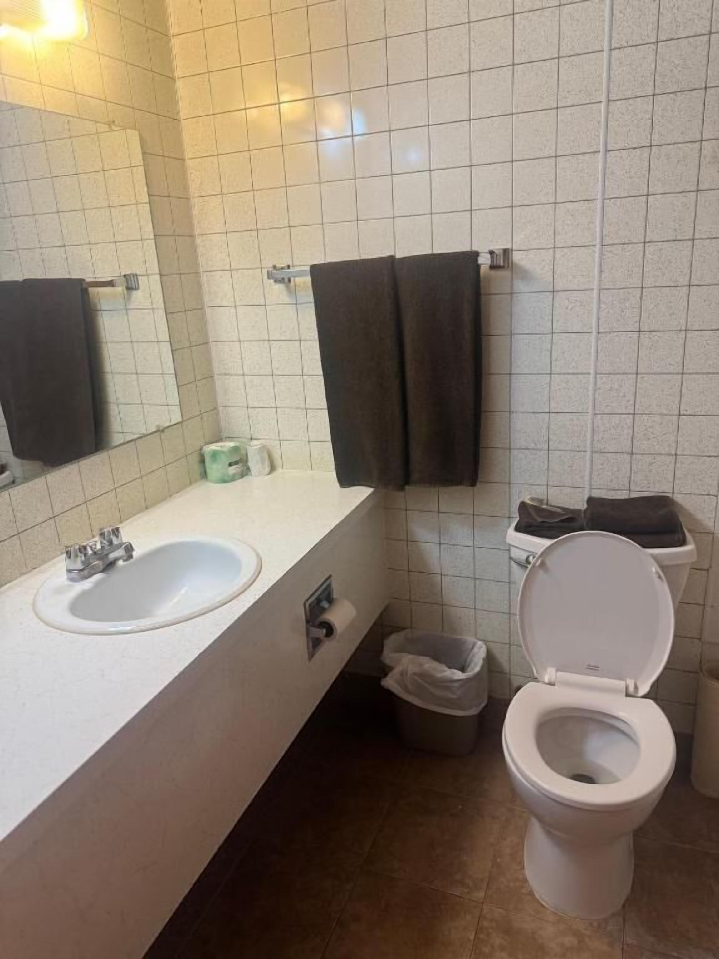 Un baño con un lavamanos blanco, un espejo, un inodoro y un cubo de basura.