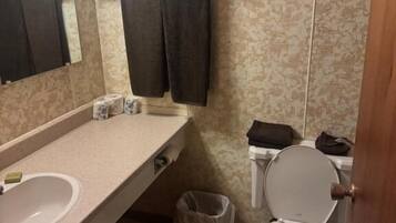 Economy Tek Kişilik Oda, Dağ Manzaralı | Banyo | Havlu, sabun, şampuan, tuvalet kâğıdı