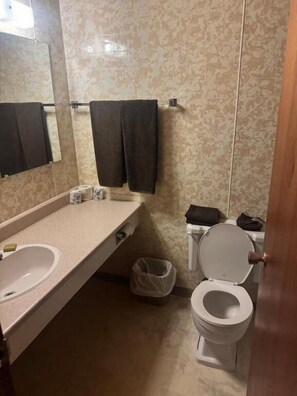 Economy Single Room, Mountain View | Bathroom | Towels, soap, shampoo, toilet paper - Big Horn Motor Inn (Grande Cache)