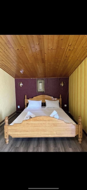 Superior Triple Room, Balcony, River View | Free WiFi