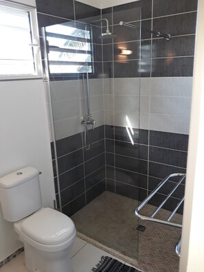 Shower, hair dryer, towels, soap