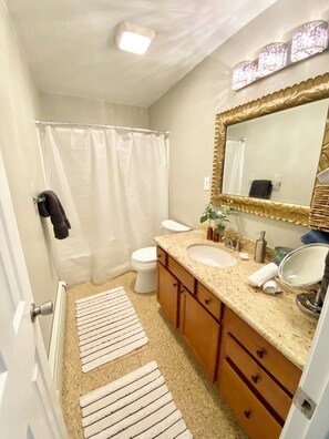 Hair dryer, towels, soap, toilet paper