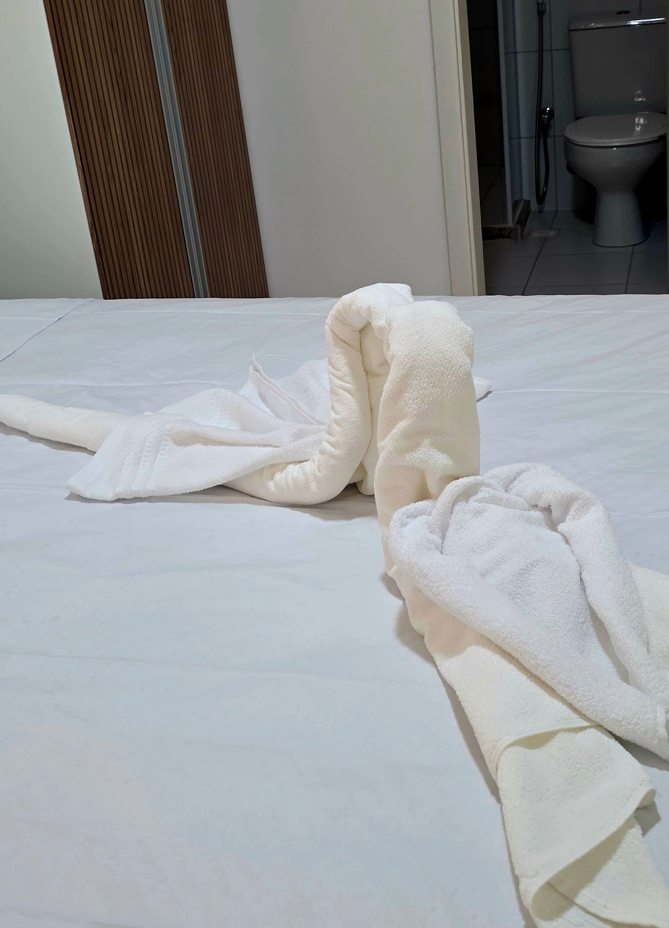 3 quartos, ferros/tábuas de passar roupa, Wi-Fi, roupa de cama