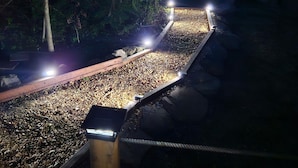 Un sendero con barandillas de madera y grava, rodeado de árboles e iluminado por luces colgantes.