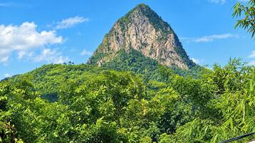 A mountain with dense green vegetation at its base.