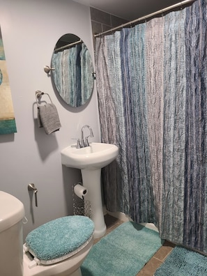 Douche, sèche-cheveux, serviettes fournies, papier toilette