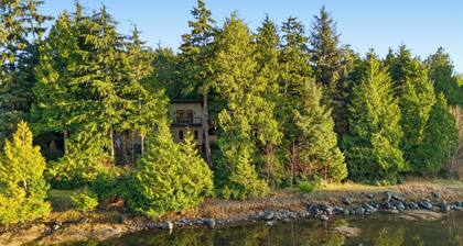 Views of Spring Cove! • Spring Cove Shelter | Hyphocus Inn