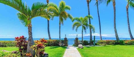 Parco della struttura