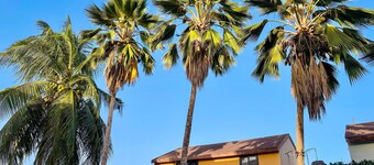 Spacious 4-bedroom apartment with AC, fitness room in enchanting Nouakchott