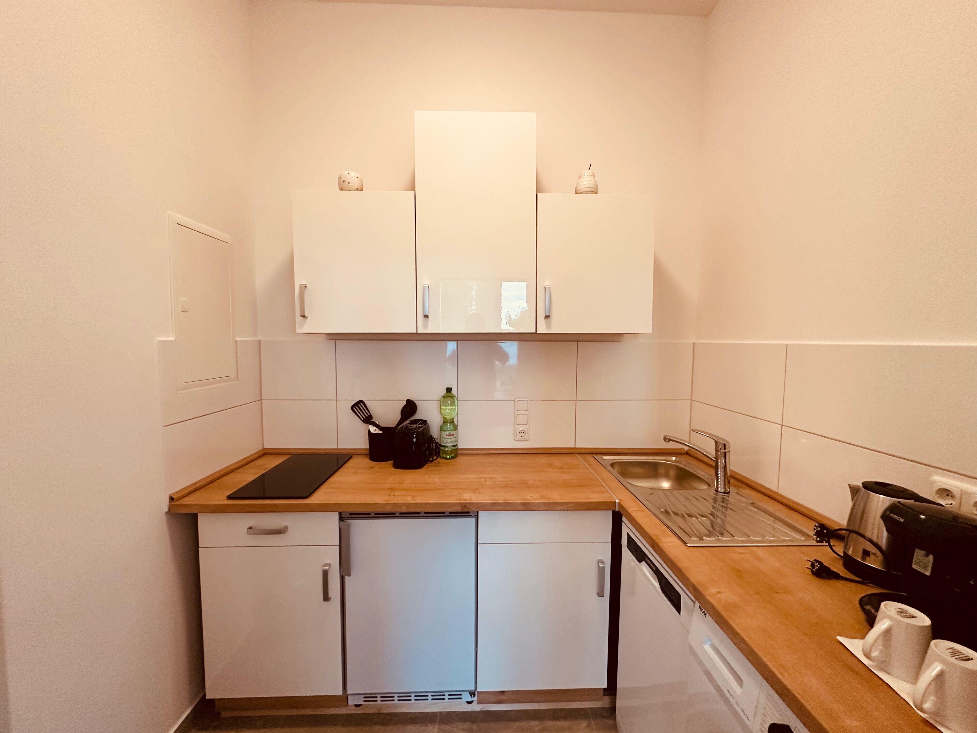 Kühlschrank, Mikrowelle, Herdplatte, Geschirrspüler