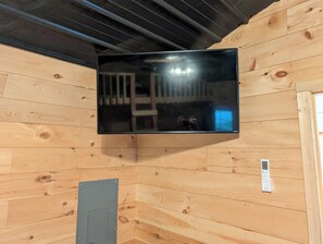 Television