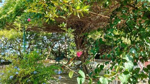 Un jardin agrémenté d’une pergola, de plantes en pot et d’un espace aménagé pour s’asseoir.