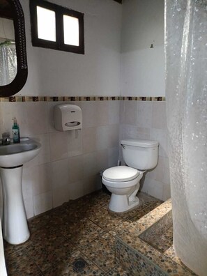 Shower, towels, soap, toilet paper